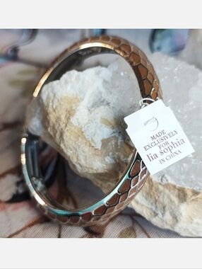Lia Sophia Silver Multi Diamond Design Caramel Enameled Bangle Bracelet NWT